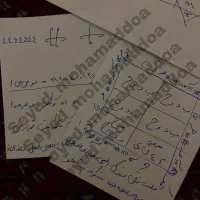 تمامی امور/سید محمد