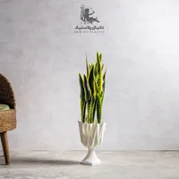 گلدان پایه دار پلاستیکی ، مدل کاپ 804 دانیال|گل و گیاه طبیعی|مشهد, سجادیه|دیوار