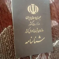 کیف گمشده