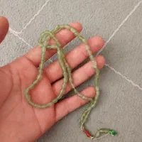 شاه مقصود افغان