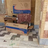 کارتن کولر