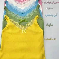 تاپ پینتر ستی