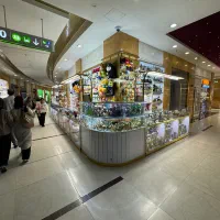واگذاری آرمان