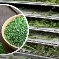 دستگاه خشک کن سبزی وآبغوره گیری