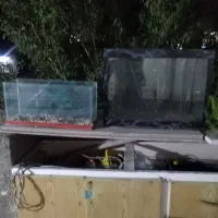 آکواریوم