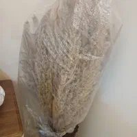 گل پامپاس|گل مصنوعی|کرمانشاه, |دیوار