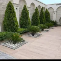 خدمات‌باغبانی هرس‌کاری سم‌پاشی رسیدگی گل آپارتمانی