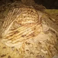 نان خشک تمیزبدون کپک و سبوس۲۵کیلویی ۹۰۰