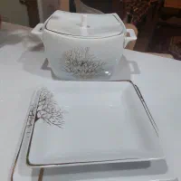 سرویس ۱۲نفره