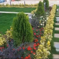 خدمات باغبانی و باغبان فروش گل کاشت درخت و نهال