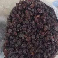 کشمش افتابی ملکان