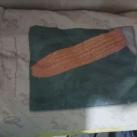 بذر ذرت 704