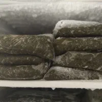 سرقنات خیابان شهید دسغیب کوچه کیان