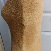 مانکن سایز۳۸،سوزن خور نیست