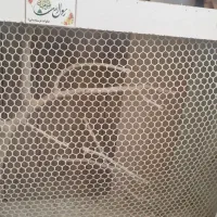 قفس پرنده