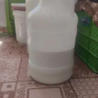 دوغ تازه گوسفندی