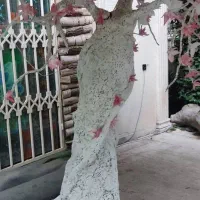 درخت تزئینی