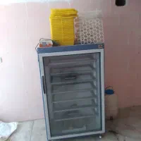 دستگاه جوجه کشی