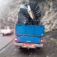 باربری شمال بار نیسان