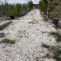باغ میمه جوشقان