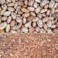 لوبیا و کنجد درجه یک فروشی