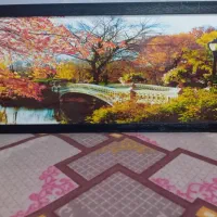 قاب عکس|تابلو، نقاشی، عکس|شوش, |دیوار