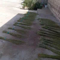 جارو دستی|لوازم نظافت|بهبهان, |دیوار