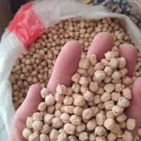 انواع حبوبات