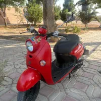 پاشکتی وینو قرمز