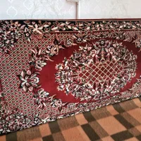 پشتی سالم