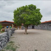 پانسیون اسب