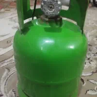 پیکنیگ