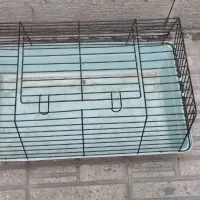 قفس خرگوش