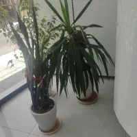 فروش-واحد-آپارتمان-خیابان-برق