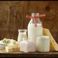 لبنیات تاژه سنگسری
