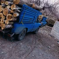 خرید همه نوع درخت و چوب با قیمت بالا خریدارم، هرس