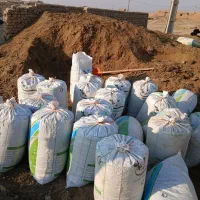 کودحیوانی مستقیم ازدامداری