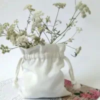 کیسه جمع شو و توتبگ