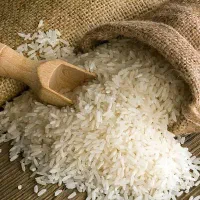 برنج طارم هاشمی 100%