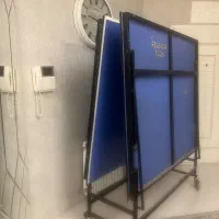 میز پینگ پنگ