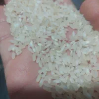 چلتوک|خوردنی و آشامیدنی|مرودشت, ولایت|دیوار