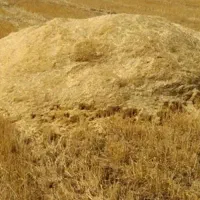 کاه گندم ریز کارزان