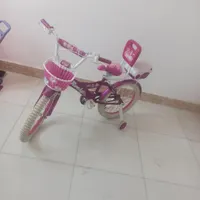 یک عدد دوچرخه صورتی رنگ دخترانه مطابق|دوچرخه، اسکیت، اسکوتر|فولادشهر, B2|دیوار