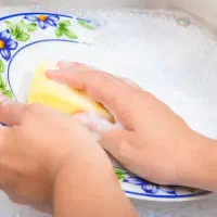 نظافت وشستشو