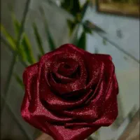 گل ربانی