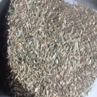 گندم جو کلزا