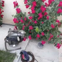 لوله بازکنی اسکندری رودکی جمهوری خوش خرمشهر مخصوص