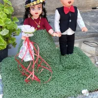 سبزه|گل و گیاه طبیعی|کوهدشت, |دیوار