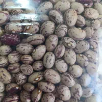 برنج|خوردنی و آشامیدنی|الموت, |دیوار