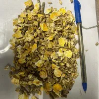 خوراک دام ، کنسانتره ، دان آجیلی(آریادان)